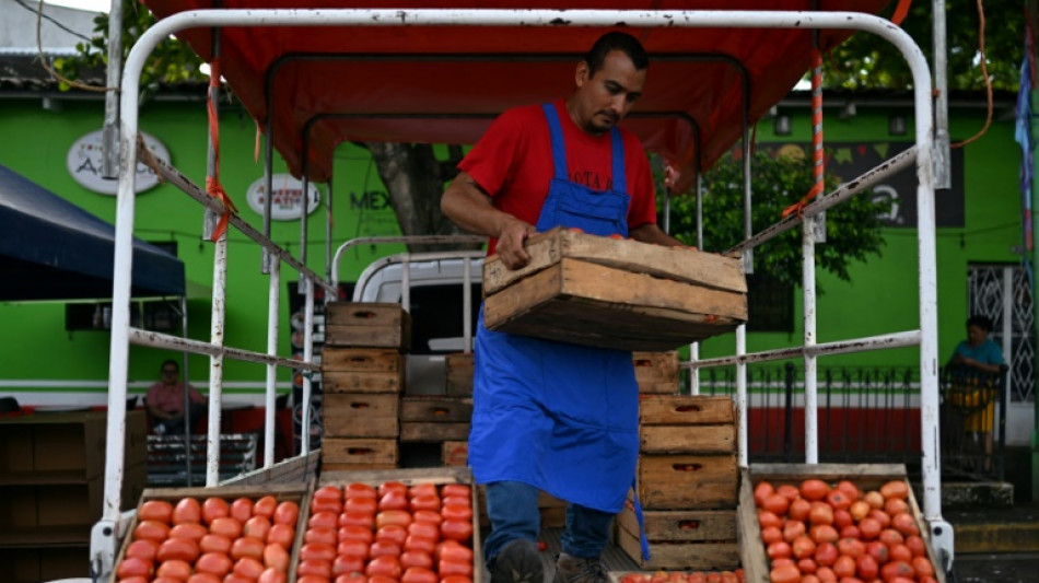 Bukele suspende aranceles a alimentos importados en El Salvador