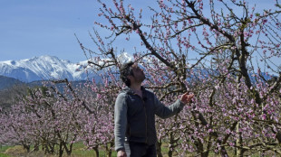 French villages run dry as water warnings rise