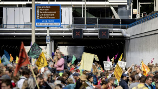 Climate demo blocks Hague motorway during police strike