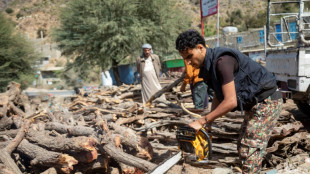 Au Yémen en guerre, les arbres sacrifiés face à la flambée de l'énergie