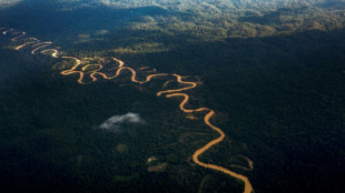 Brazilian army deploys to protect Indigenous Yanomami