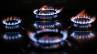 Il gas apre in calo ad Amsterdam (-2,3%)