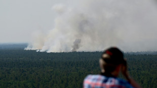 Feu de forêt autour d'un dépôt de munitions à Berlin