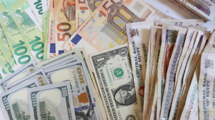 L'euro ritocca i massimi da novembre sul dollaro dopo la Bce