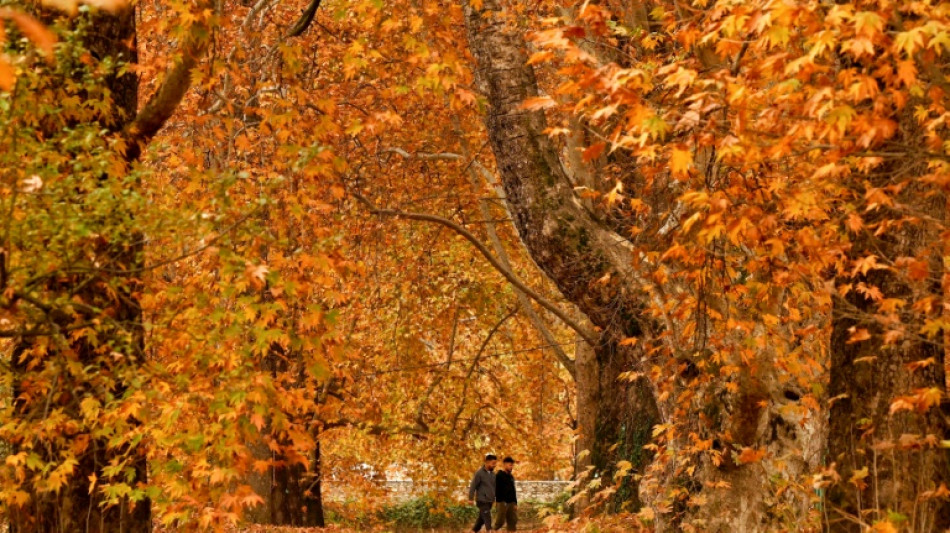 Bilanz des Wetterdiensts: Herbst in Deutschland zum 14. Mal in Folge zu warm