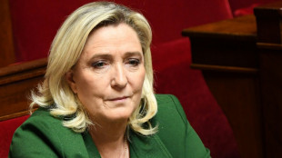 Ingérence étrangère et prêt russe au RN: Marine Le Pen entendue à l'Assemblée