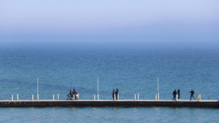 Tres embarcaciones de bandera panameña dañadas durante ataques rusos en el Mar Negro