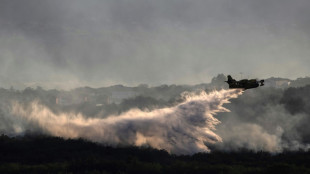 Ardèche: l'incendie probablement criminel quasiment fixé