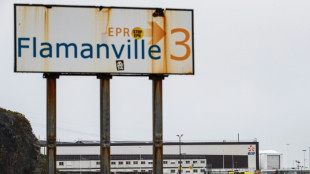 EPR de Flamanville: la réaction nucléaire a repris après un arrêt