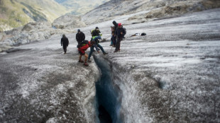 Yellowstone, Pyrénées, Kilimandjaro: ces glaciers emblématiques vont dispaître, alerte l'Unesco