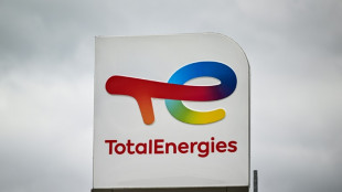 TotalEnergies: échauffourées avant une assemblée générale sous haute tension 