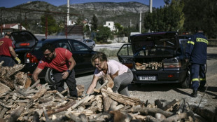 Face à la crise énergétique, la Grèce distribue du bois de chauffage aux habitants