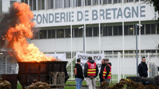 Fonderie de Bretagne: des responsables syndicaux appellent Macron à intervenir auprès de Renault