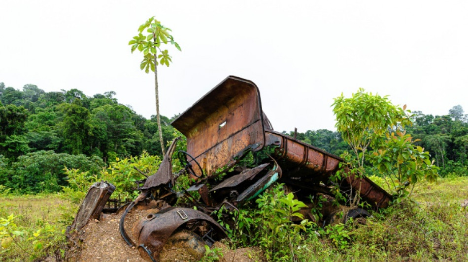 Guyane: vaste opération pour faire fuir les chercheurs d'or clandestins