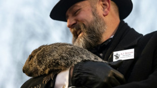 El mal tiempo se prolongará seis semanas más, predice la marmota Phil en EEUU