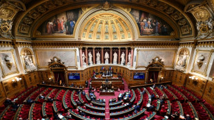 Le Parlement accélère le développement des énergies renouvelables