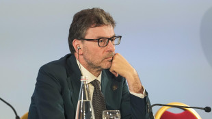 Giorgetti, 'su Tim premiata la decisione del governo'