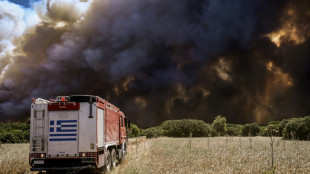 Grèce: "journée difficile" sur le front des incendies, selon les pompiers 