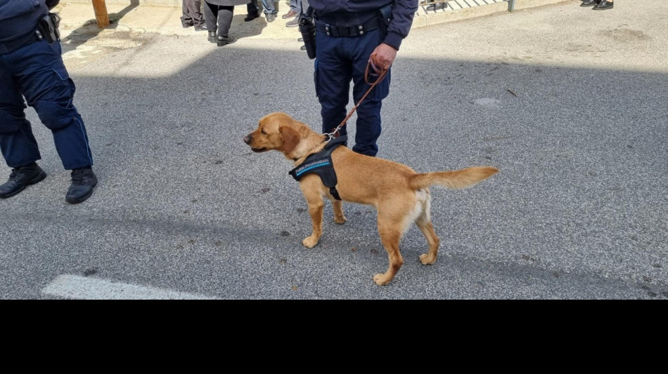 Droga in carcere: in corso operazione, oltre cento indagati