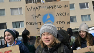 Thunberg und weitere Aktivisten fordern in Davos "Klimagerechtigkeit"