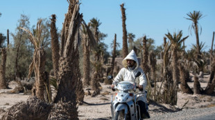 Water supply fears as Morocco hit by worst drought since 1980s