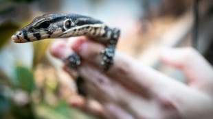 Mehr als 130 Tiere bei Feuer in Kölner Zoo gestorben