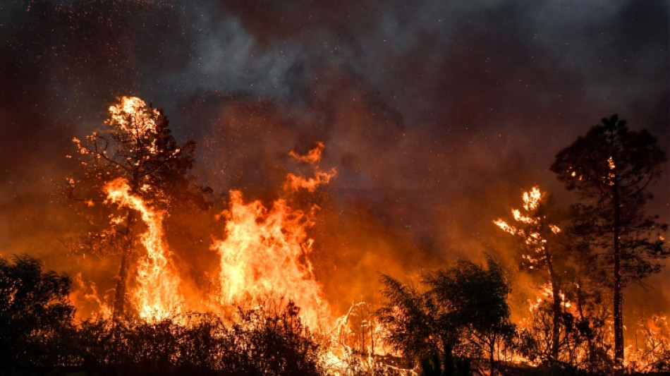 Algérie: au moins 34 morts dont 10 militaires dans de violents incendies