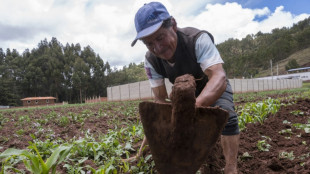 Despair and distrust: Andean communities 'forgotten' by Lima