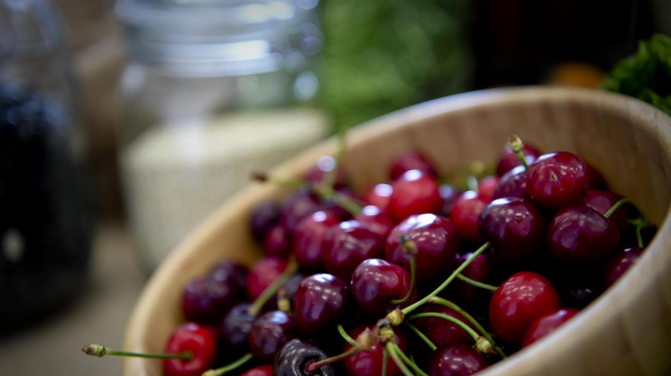 Con gelate frutta a rischio rincari, più colpite le ciliegie