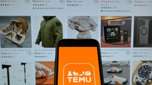 Shopping app Temu suspended in Vietnam: state media