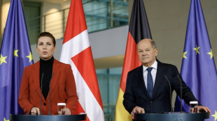 German, Danish leaders meet after Trump Greenland warnings