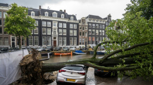 Record storm cost up to 100 mn euros in damage: Dutch insurers