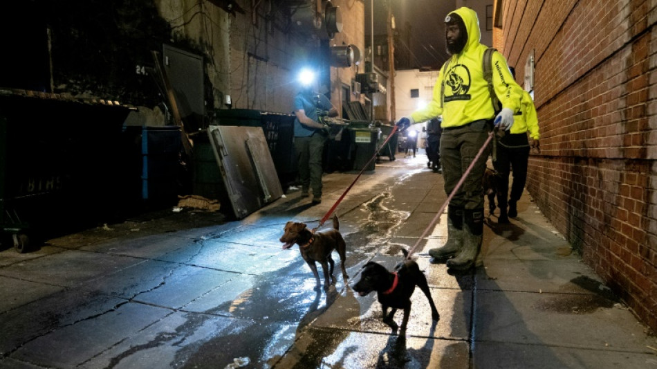 A Washington, les chiens font la guerre aux rats