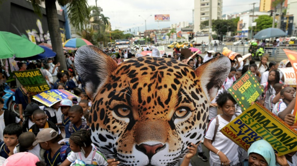 A Cali, la "zone verte", déjà coeur vivant de la COP16