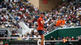 Roland-Garros: les "Carota Boys", les tifosi orange acidulé de Jannik Sinner