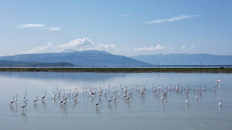 Airport threatens Albania's fragile wild paradise