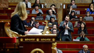 Retraites: l'Assemblée sous haute tension pour la dernière journée de débats