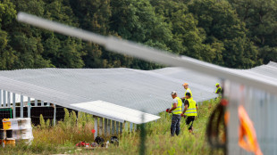 Confartigianato, mancano oltre 828mila lavoratori green