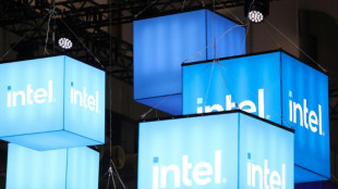 Intel-Werk: Grüne beharren auf Verbleib von Subventionsmitteln im Klimafonds 