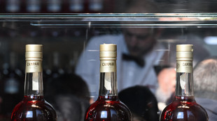 Ricavi 2024 di Campari oltre i tre miliardi, scivola l'utile