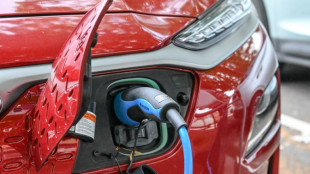 EU threatens US over electric car subsidies