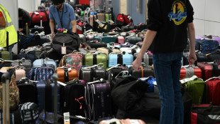 Mishandling of luggage soars as air travel rebounds: study