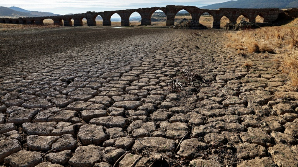 Spain to face increasingly 'severe' droughts: report