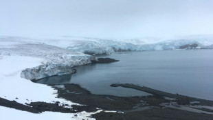 Antarctic faces melting 'tipping point' as oceans warm: study