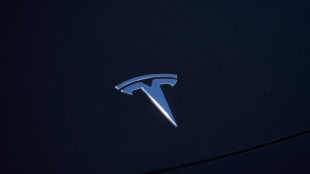 Tesla posts disappointing deliveries for 2022