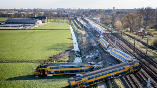 One dead, many hurt as Dutch train hits crane