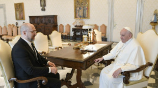 Ukraine PM invites pope to visit, urges help with deported children