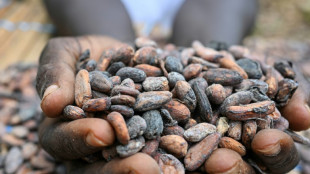 Ghana raises cocoa price by 45% to deter smuggling