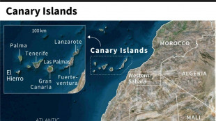 Search for migrant boats off Canary Isles temporarily suspended