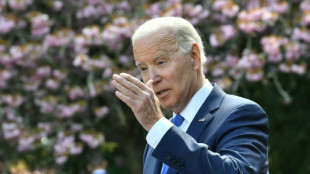 Biden protects US forests but struggles on biggest climate goals